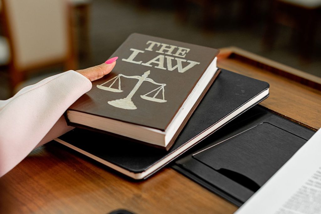 Legal Support Services for Law Firms